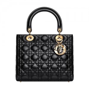 ladydior